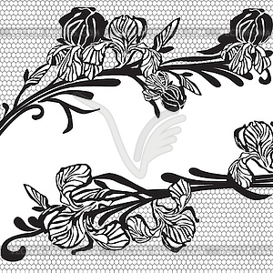Lace frame with irises - vector image