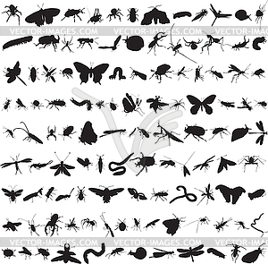 Set of more than a hundred insects - vector clip art