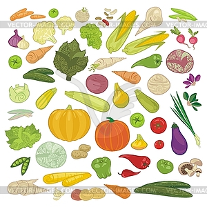 Vegetables Set - vector clipart / vector image