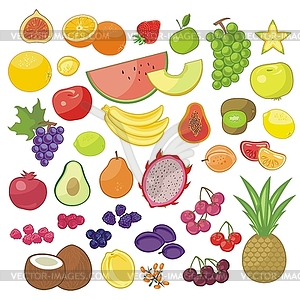 Fruits Set - vector clipart