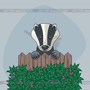 Cute Badger - vector image