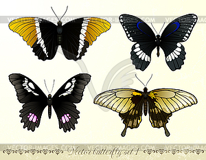 Butterflies set - vector clipart