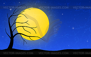 Night landscape - vector image