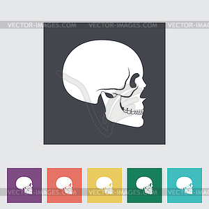 Anotomy skull - vector clip art