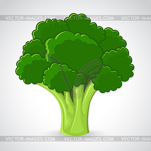 Artistic broccoli - vector image