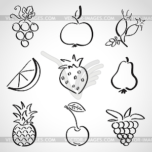 Ink style sketch set - fruits and berries - vector image