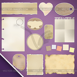 Scrapbooking Set: Torn Paper - vector clip art