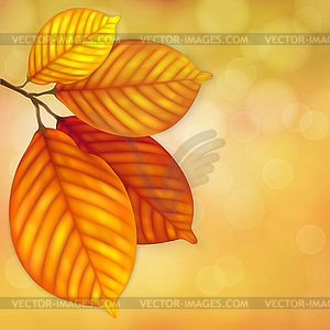 Autumn leaves background - vector clipart