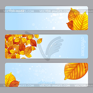Autumn leaves banners - vector image