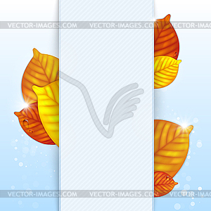 Autumn leaves background - vector clipart