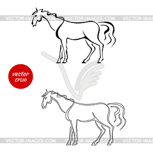 Set of silhouettes of horse with beautiful mane - vector clipart