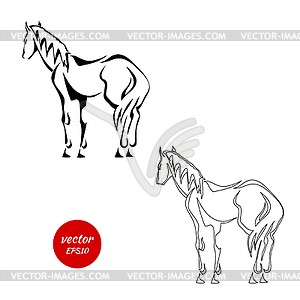 Set of silhouettes of horse of back ba - vector image