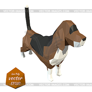Dog. Low poly style.  - vector clipart
