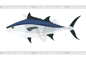 Tuna. Color tuna fish. Anima - vector image