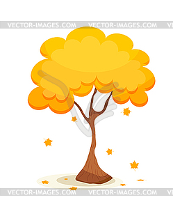 Yellow maple tree with leaves. Autumn maple with - vector clipart