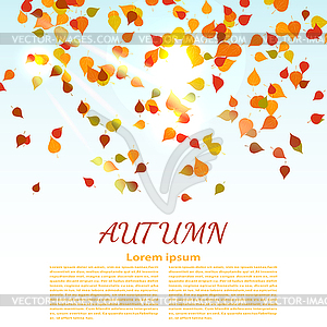 Autumn background with colored maple leaves. - vector clipart