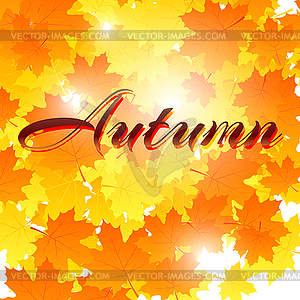 Autumn background with leaves. Back to school. Stoc - vector clipart