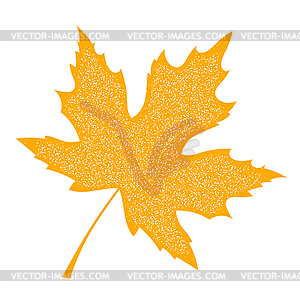 Yellow Maple Leaf with grange texture. Aut - vector image