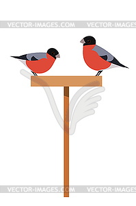 Two bullfinch on feeding trough. Two birds on woode - vector clipart