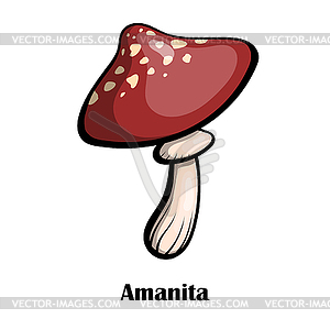 Color mushroom. Poisonous - vector image