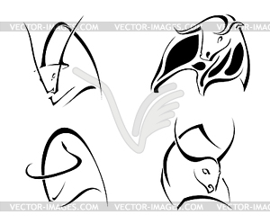 Set of images of bulls. Abstract stylized buffalo o - vector clipart