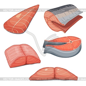 Color collection of pieces of fresh salmon meat. se - vector clipart / vector image