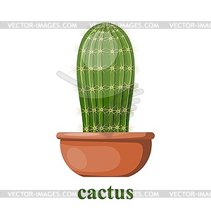 Cactus in clay pot - vector clipart