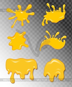 Set of orange honey drops of healthy syrup golden o - vector image