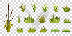 Set of grass blades on transparent background - vector image