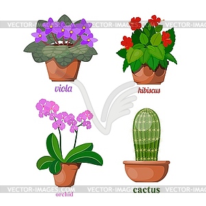 Set of flowers in clay pots. Blooming home - vector image