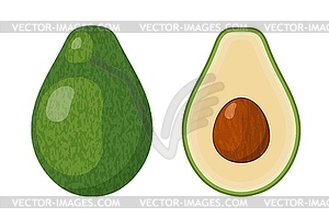 Two halves of ripe juicy avocado with bone. tropica - vector clip art