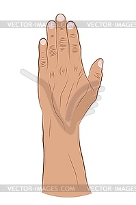 Human hand raised up. brush with fingers. Hand - vector image