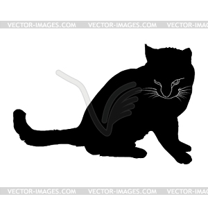 Black silhouette of cat - vector clipart