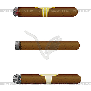 Set of Cuban cigars. Isolate. - vector image