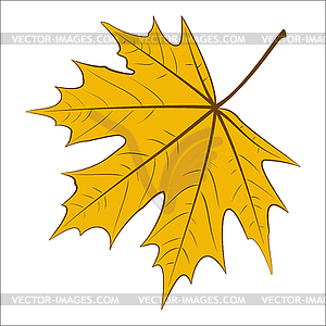 Yellow Maple Leaf - vector image