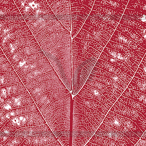 Red Leaf Background - vector clipart