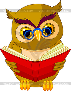 Wise Owl Cartoon - vector image