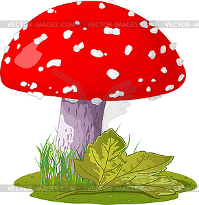 Amanita - vector clipart