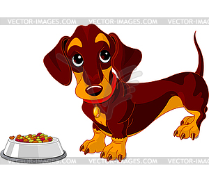 Dachshund dog - vector clip art