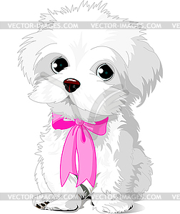 White Puppy - vector clipart / vector image