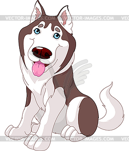 Cute husky - color vector clipart