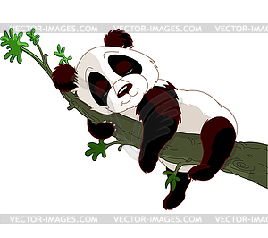 Panda sleeping on branch - vector clip art