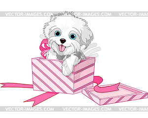 Dog in box - vector image