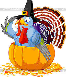 Pilgrim Turkey in pumpkin - color vector clipart