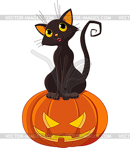 Halloween Cat on pumpkin - vector clipart