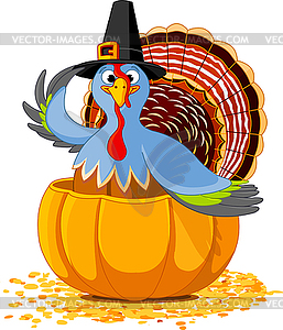 Thanksgiving Turkey in pumpkin - vector image
