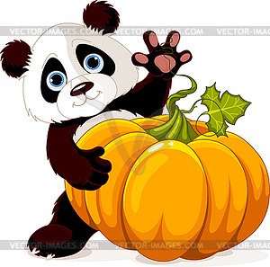 Harvest Panda - vector clipart
