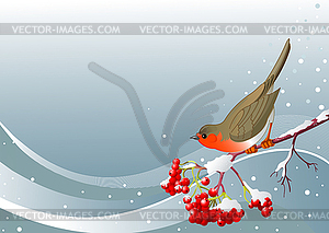 Winter mountain ash branch - vector image