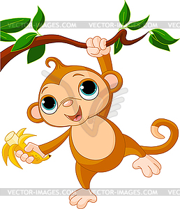 Baby monkey on tree - vector image