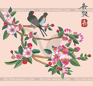 Sakura , spring , postcard . - vector image